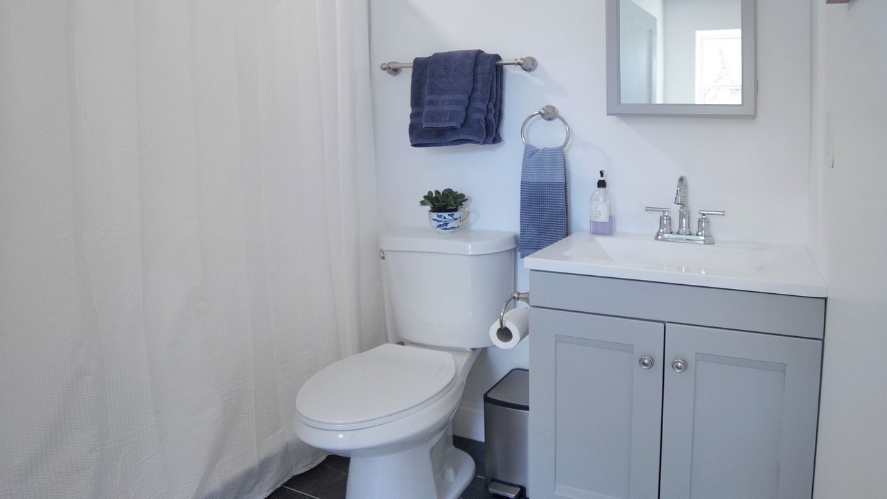 Photo of Bathroom in Bolivar