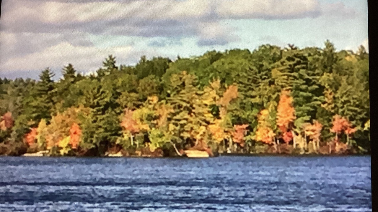 Photo of Others in Readfield
