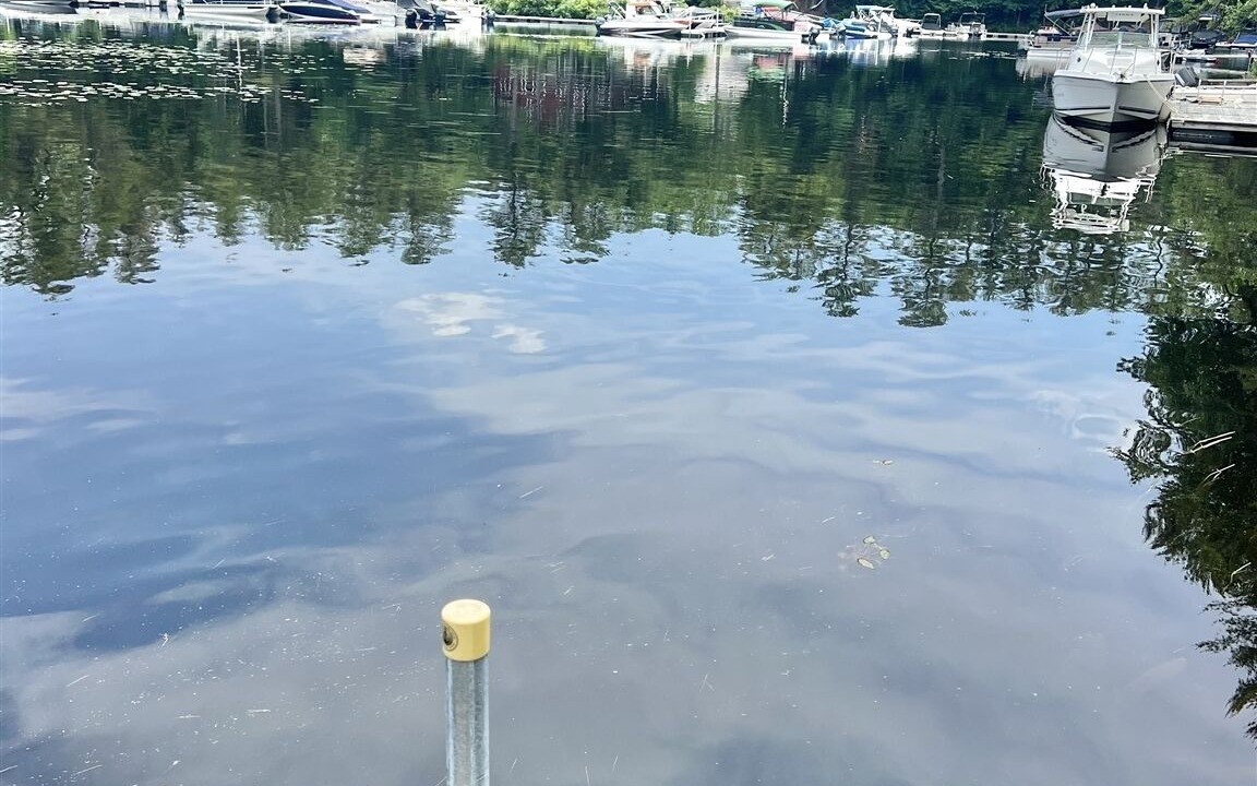 Photo of Others in Sebago