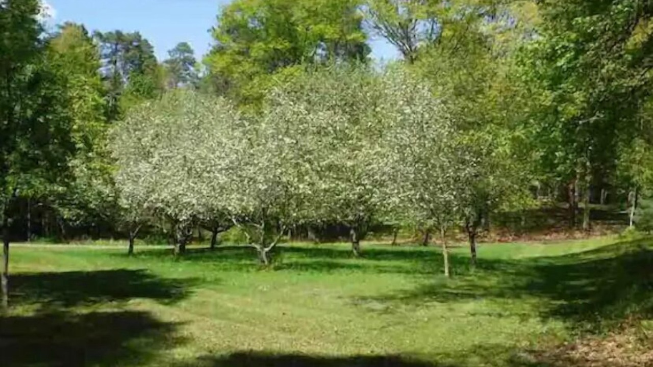 Photo of Outdoor in Valatie