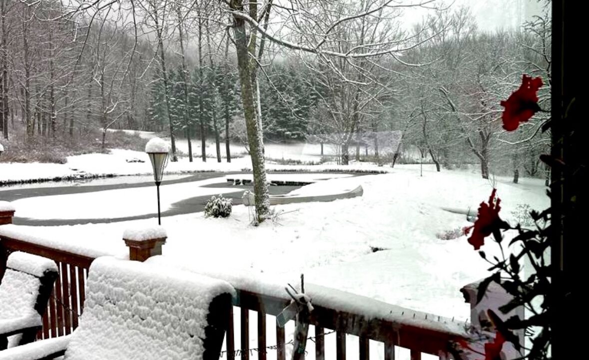 Photo of Outdoor in Roxbury