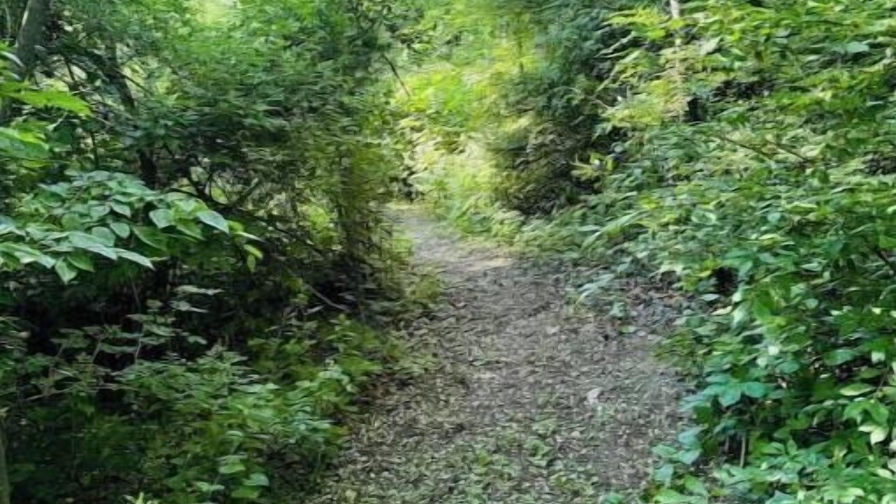 Photo of Outdoor in Newfane