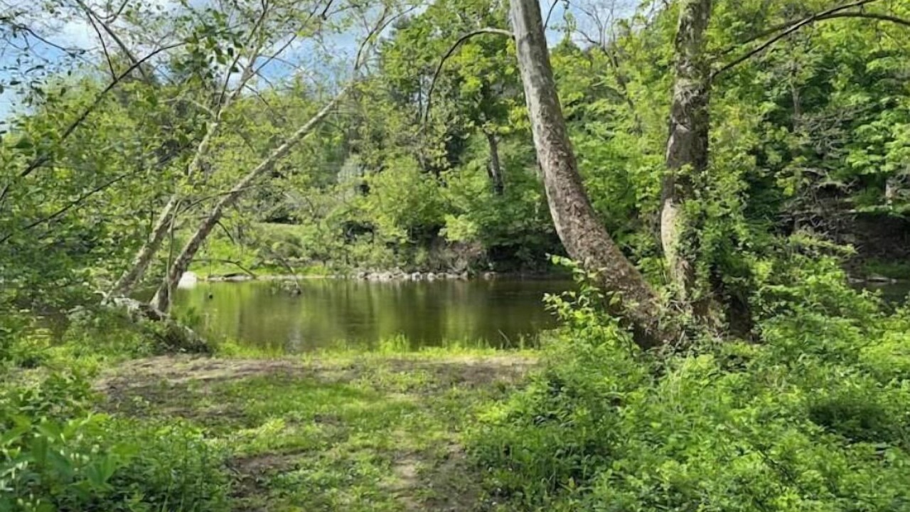 Photo of Outdoor in Newfane