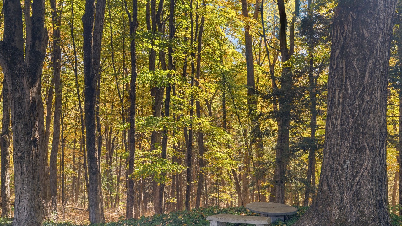 Photo of Outdoor in New Paltz