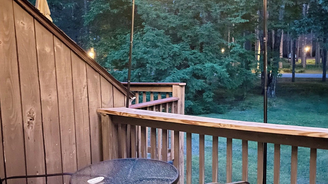 Photo of Others in Intervale