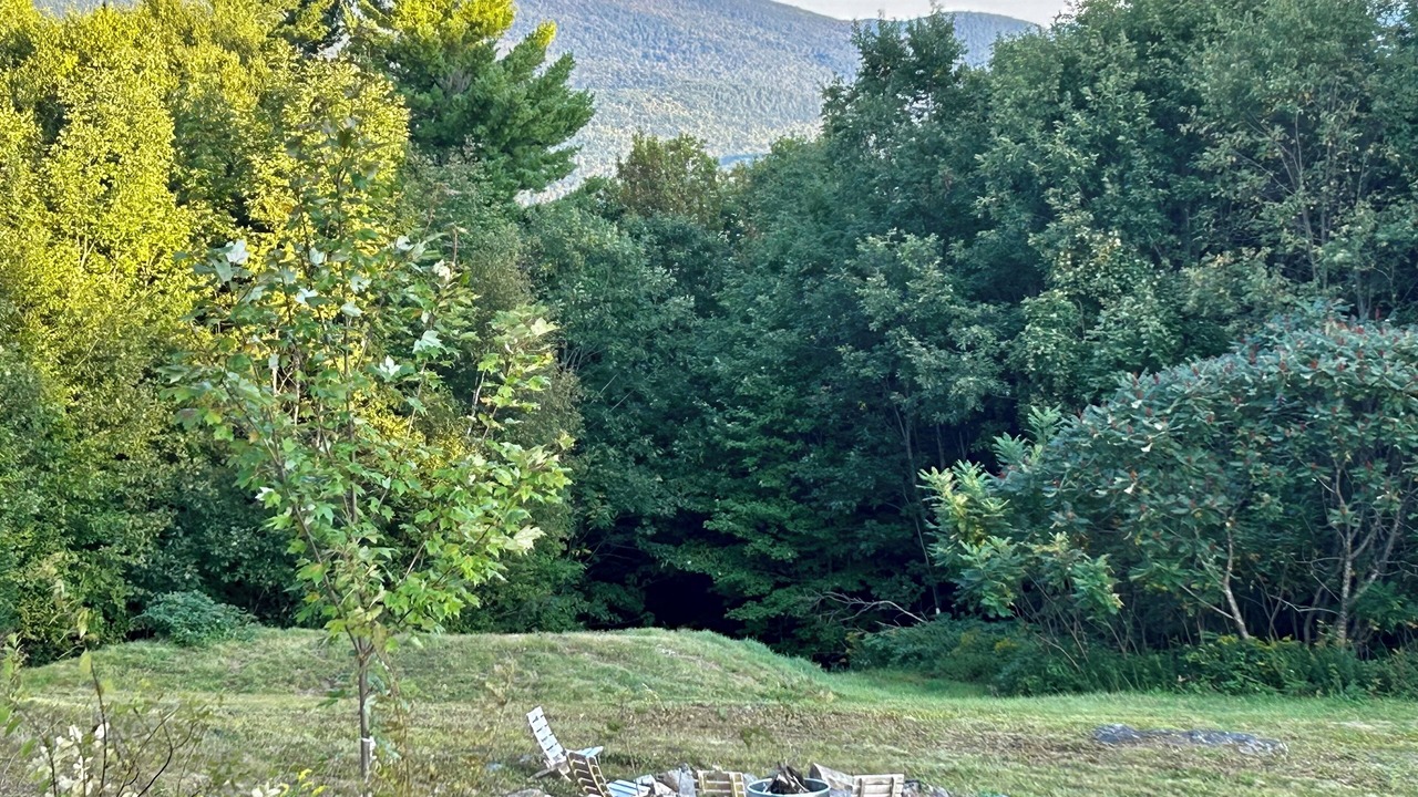 Photo of Outdoor in Wentworth