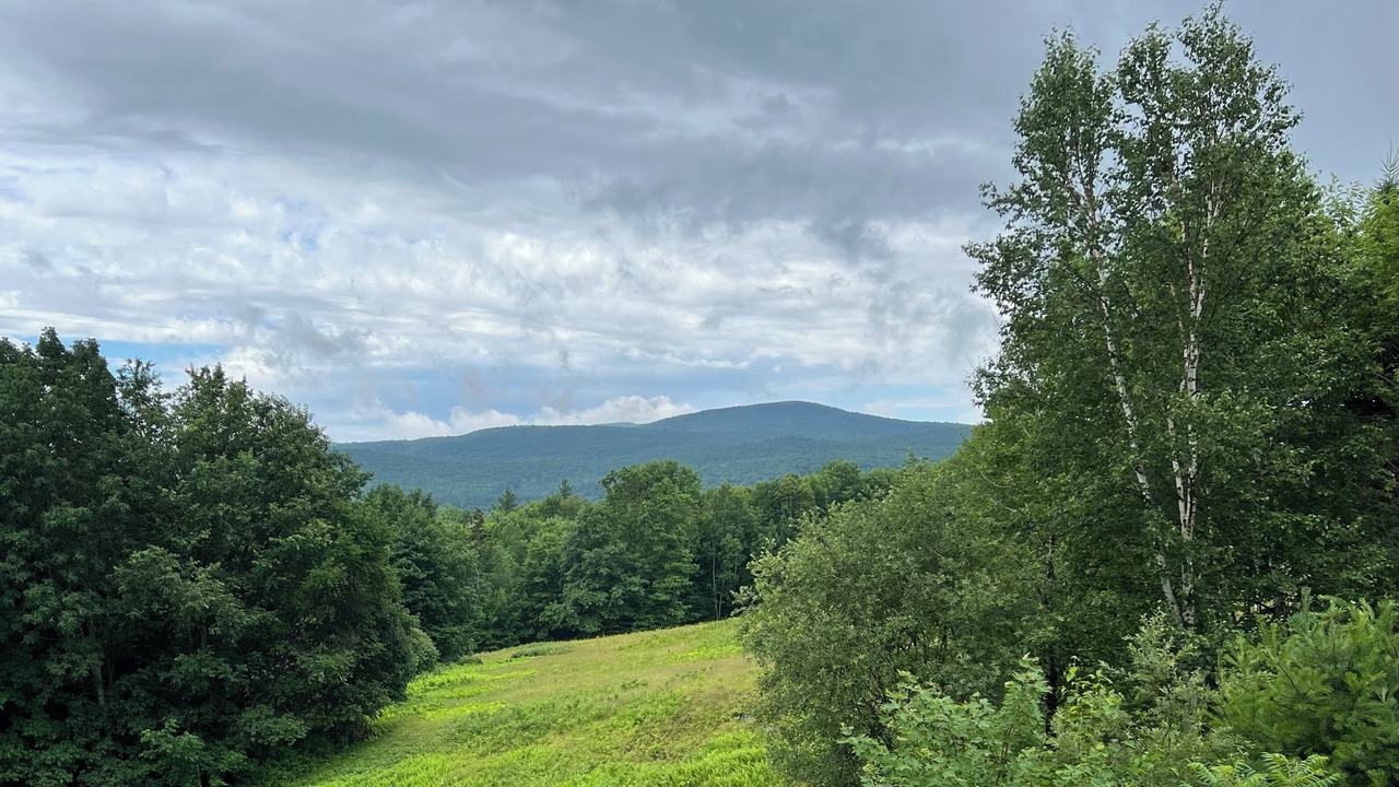 Photo of Outdoor in Wentworth
