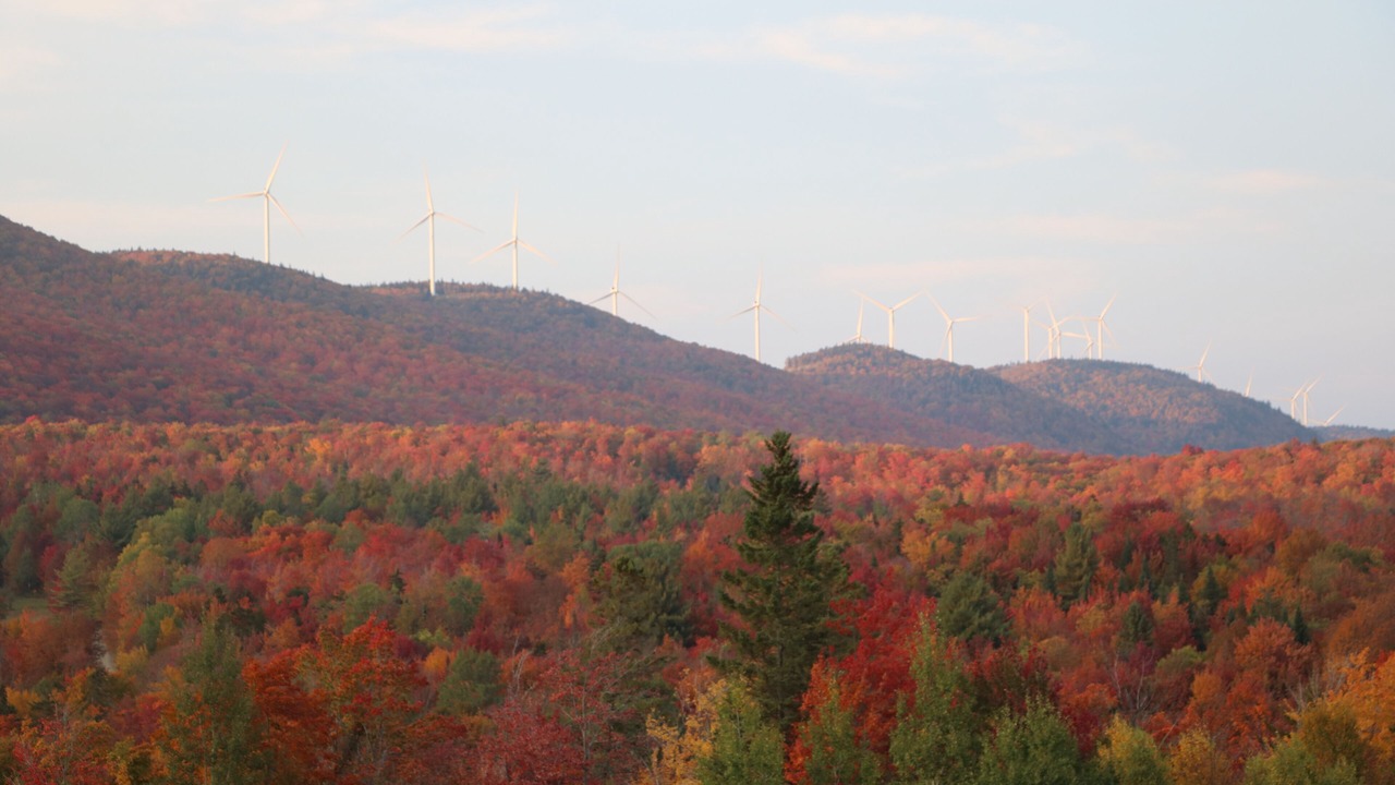 Photo of Others in Green Mountains