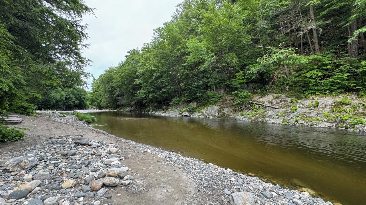 Photo of Others in Williamsville