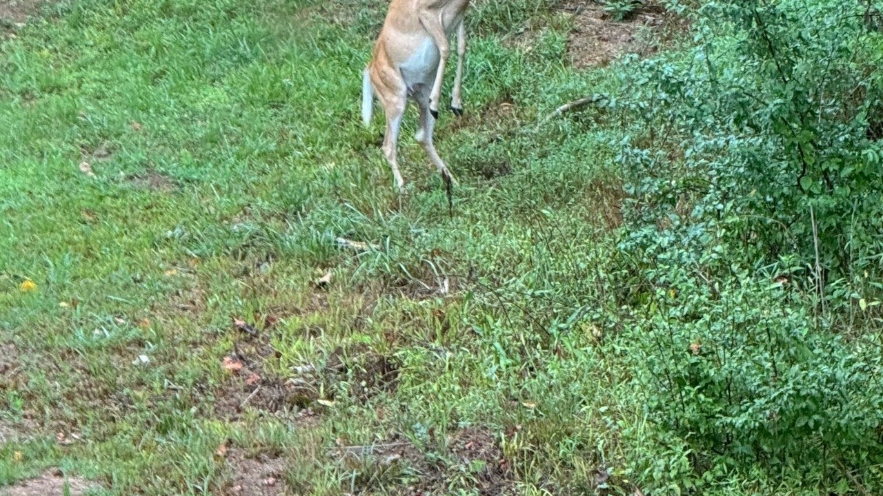 Photo of Outdoor in Sutton