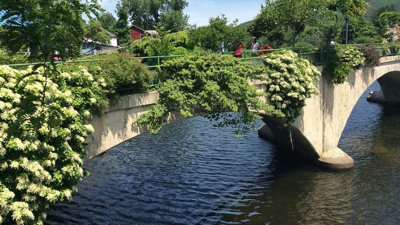 Photo of Others in Monroe Bridge