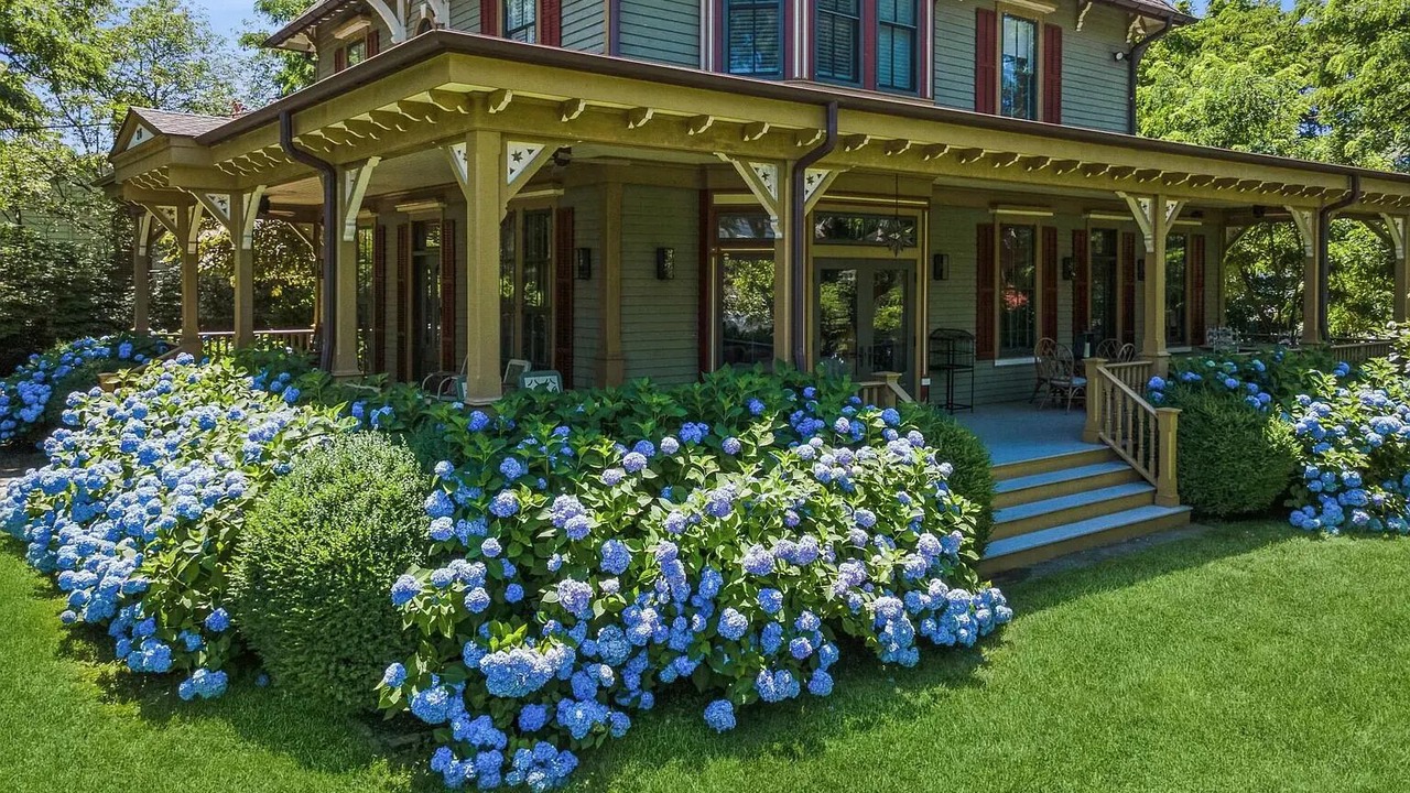Photo of Outdoor in Mamaroneck