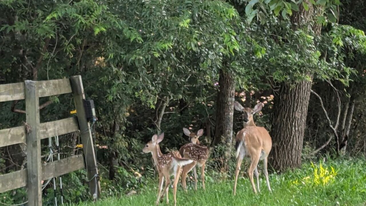 Photo of Others in Macon