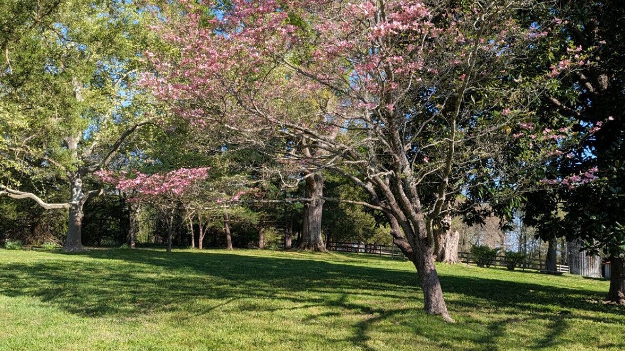 Photo of Others in Macon