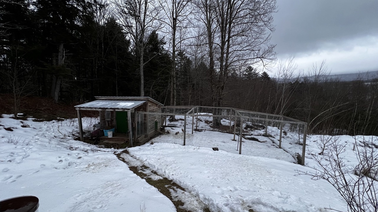Photo of Outdoor in Morrisville