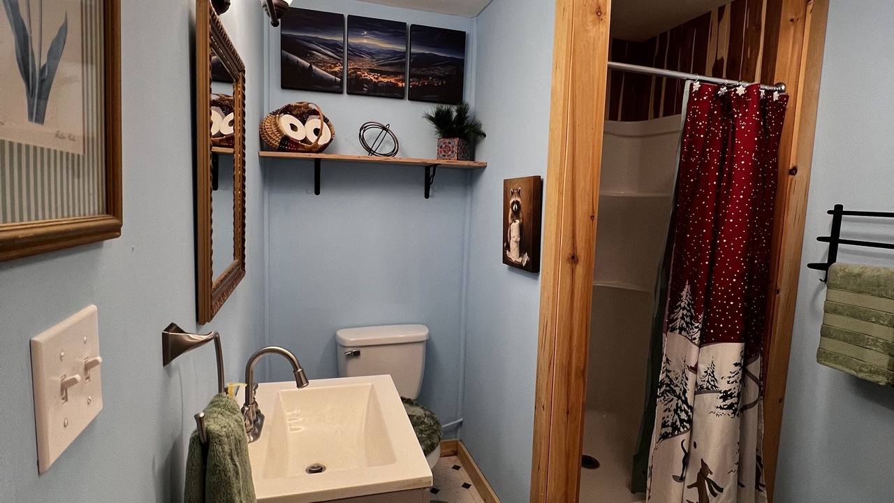 Photo of Bathroom in Morrisville