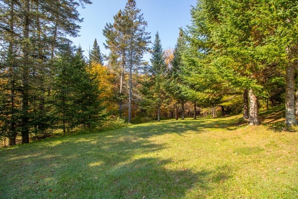 Photo of Outdoor in East Burke