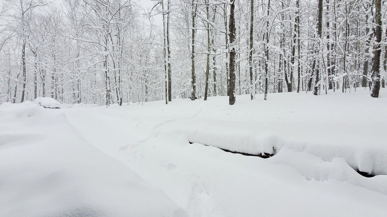 Photo of Others in Tannersville