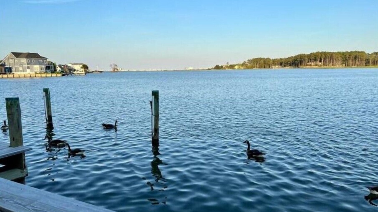 Photo of Others in Ocean Pines