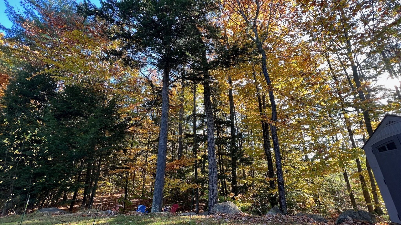 Photo of Outdoor in Northwood