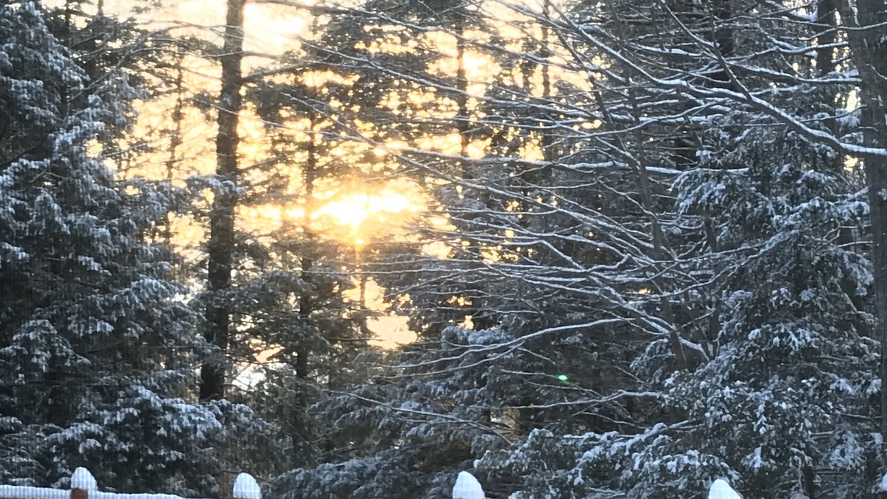 Photo of Outdoor in Chestertown