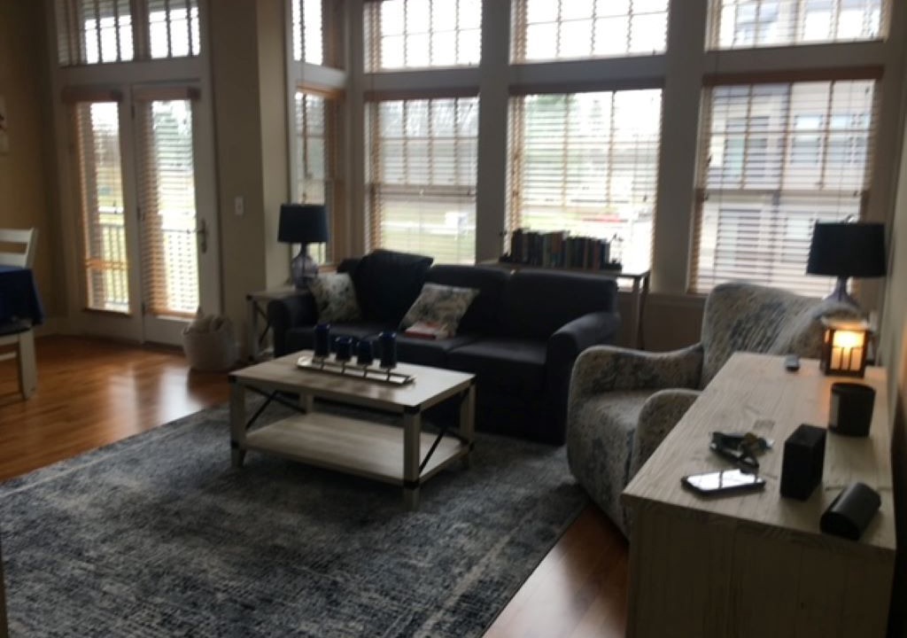 Photo of Livingroom in Saratoga Springs