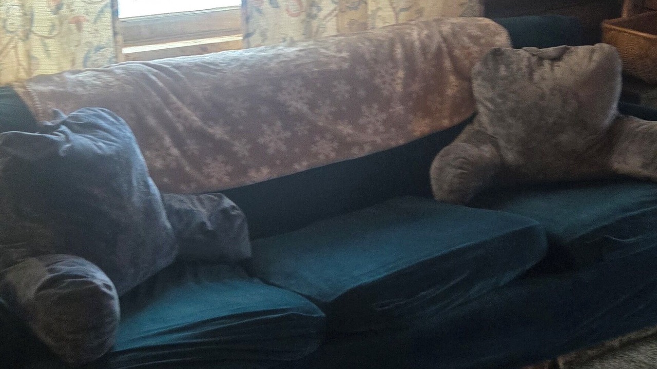 Photo of Livingroom in Olmstedville