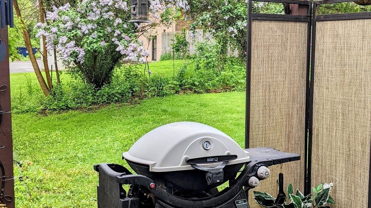 Photo of Outdoor in Williamsville