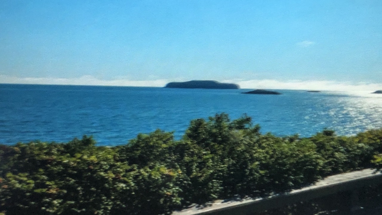 Photo of Others in Jonesport