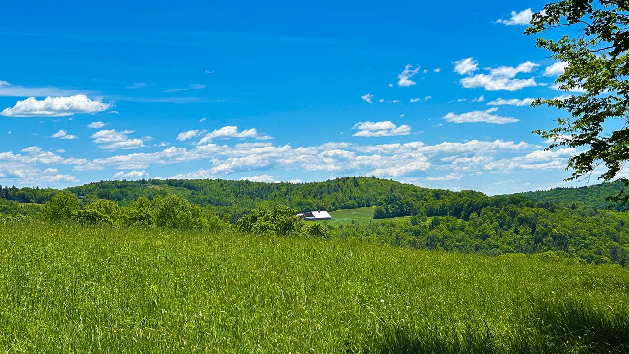 Photo of Outdoor in Wilmington
