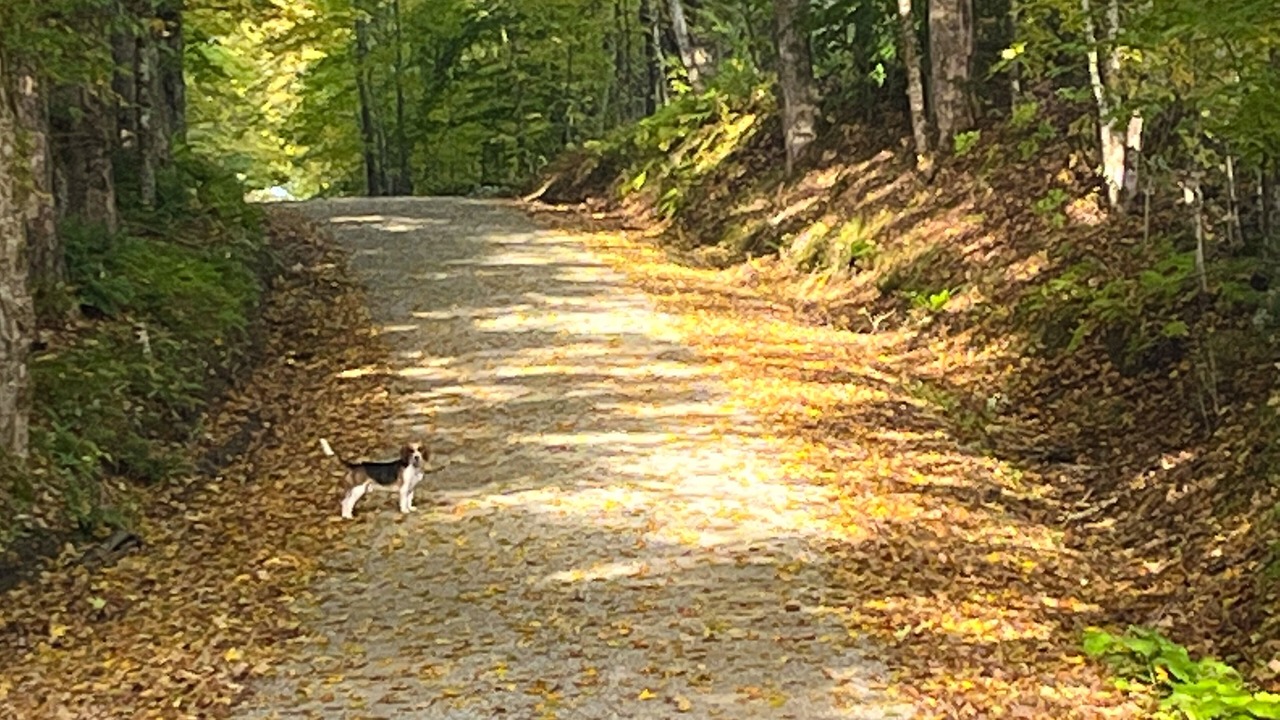 Photo of Outdoor in Wilmington