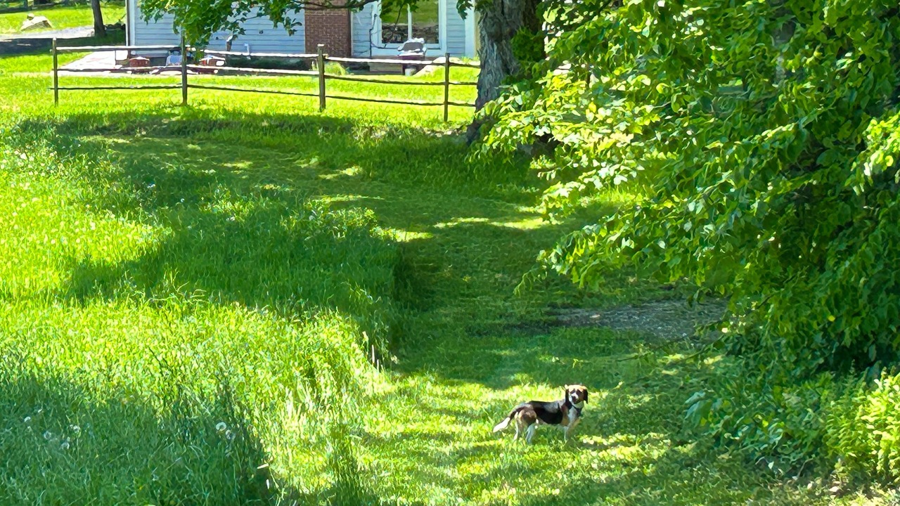 Photo of Outdoor in Wilmington