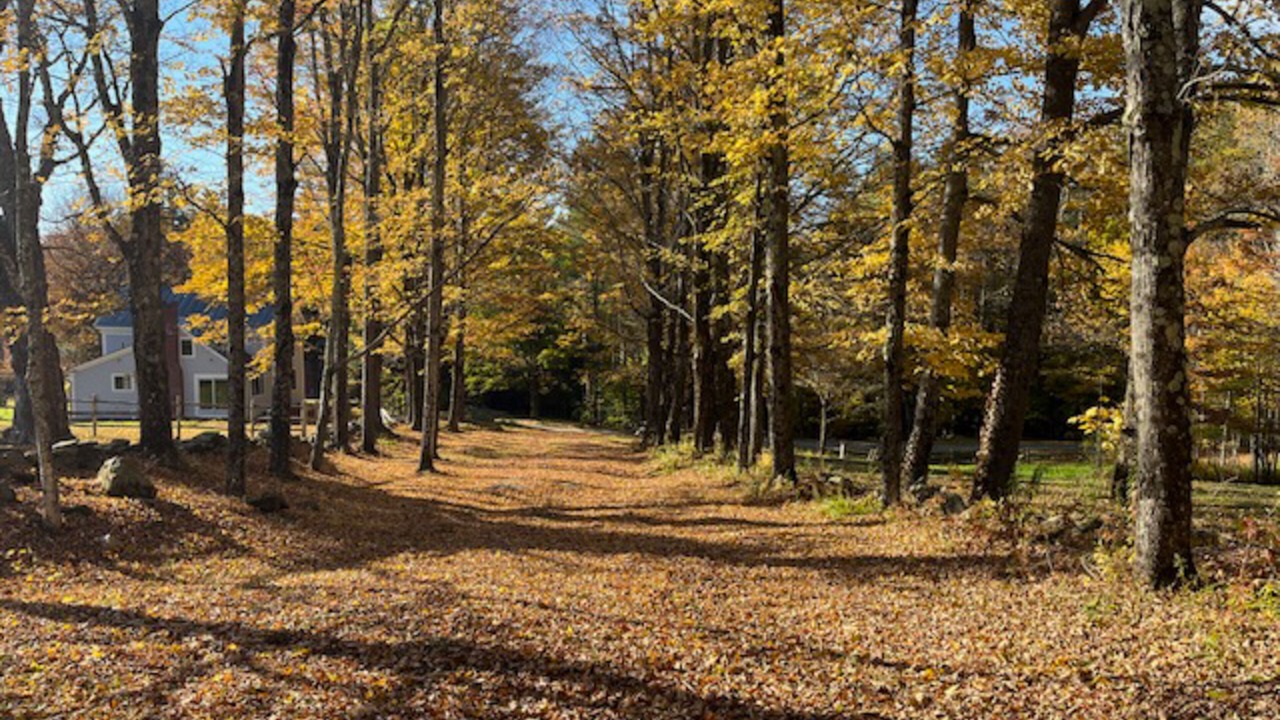 Photo of Outdoor in Wilmington