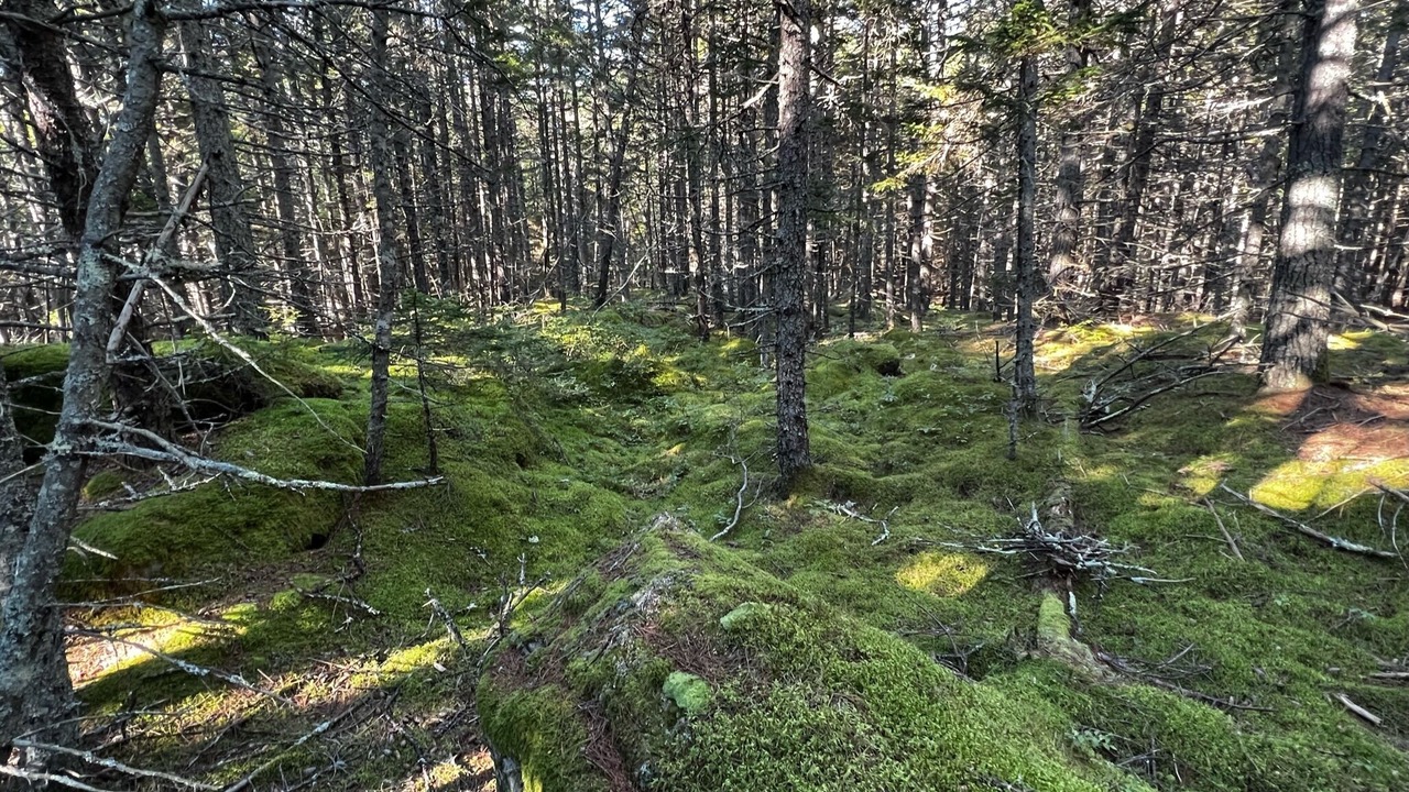Photo of Outdoor in West Point