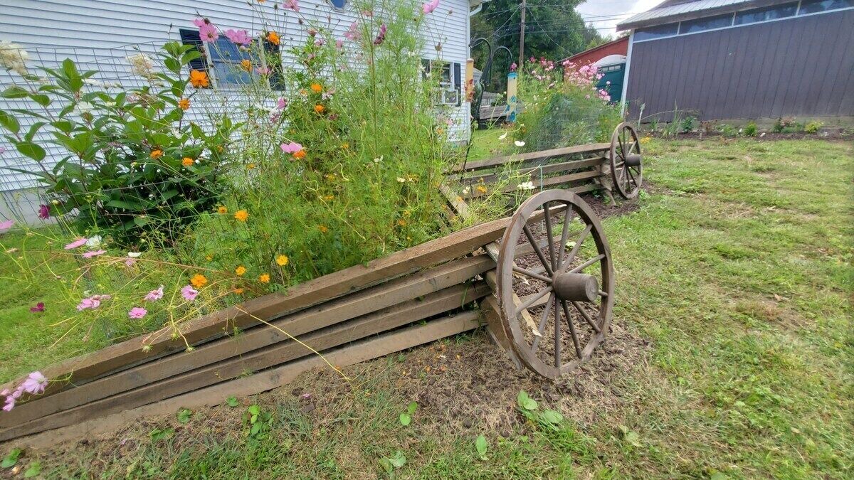 Photo of Outdoor in Equinunk