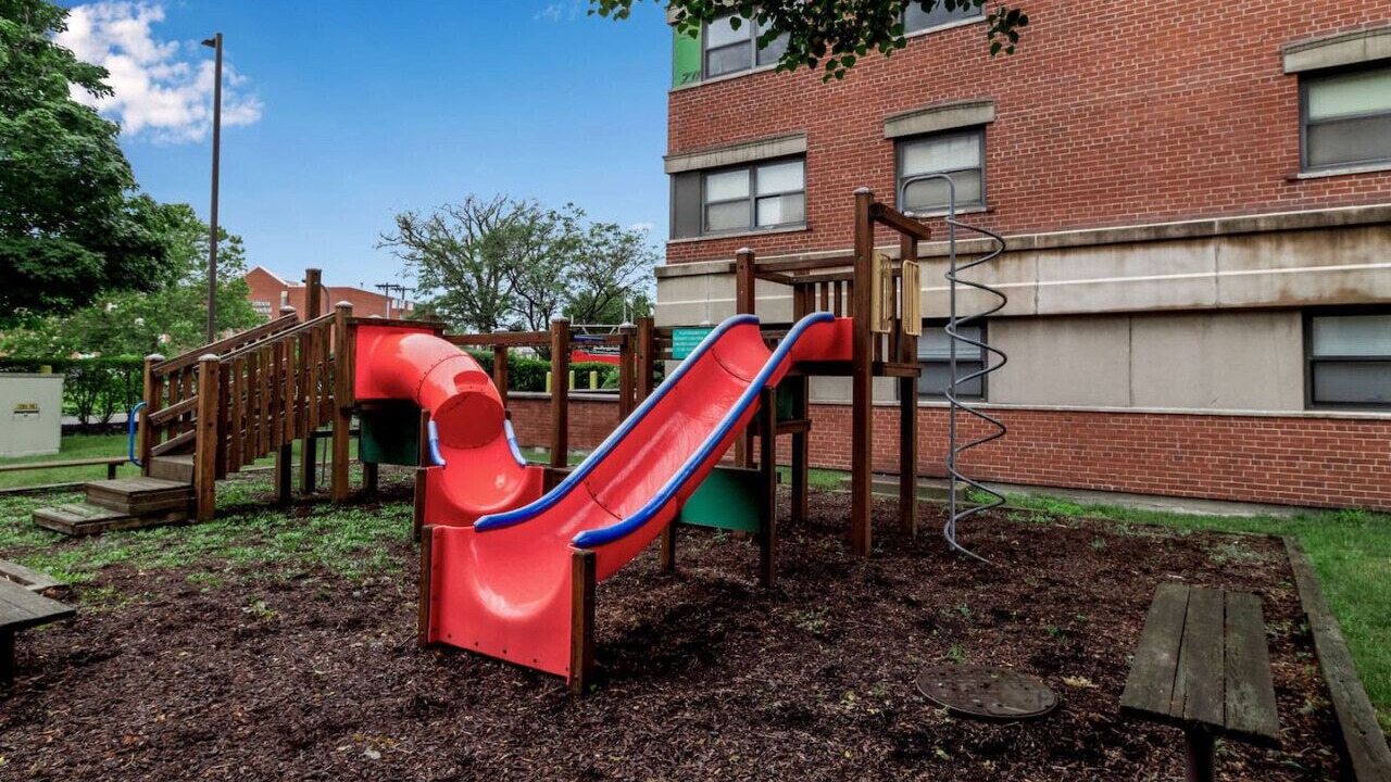 Photo of Others in Willert Park