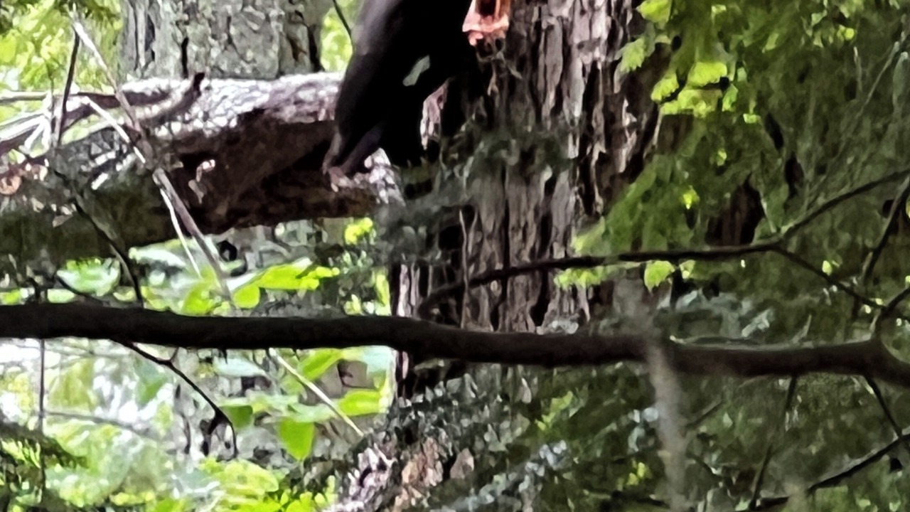 Photo of Others in Hadley