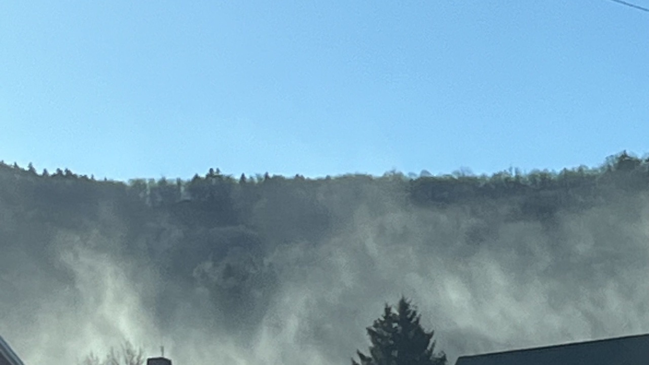 Photo of Others in Danbury
