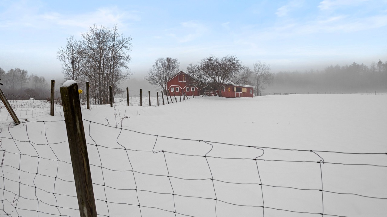 Photo of Outdoor in Chestertown