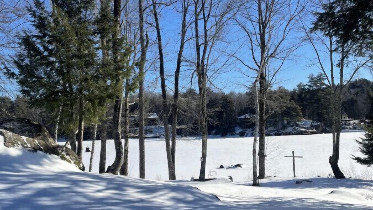 Photo of Outdoor in Stoddard