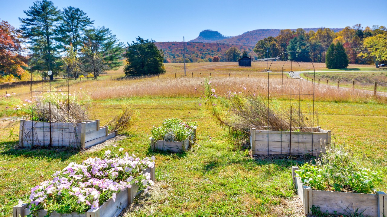 Photo of Outdoor in Pilot Mountain