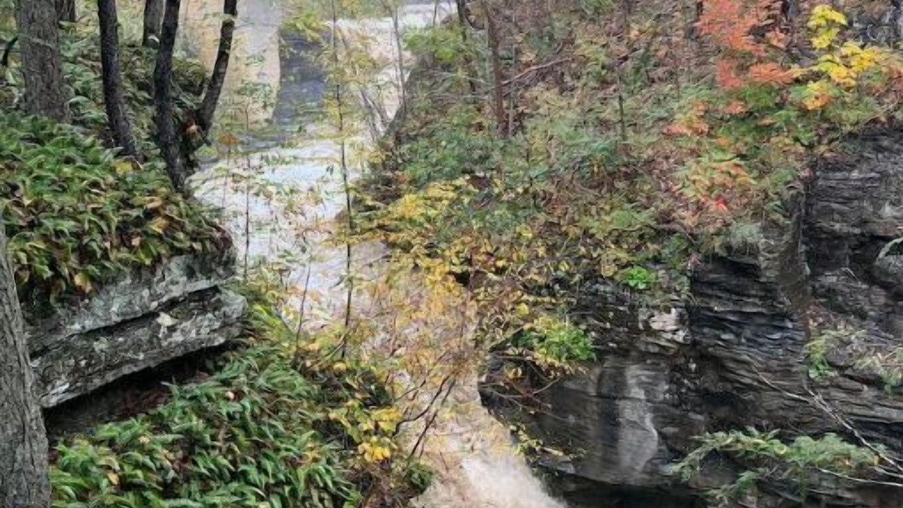 Photo of Others in Gilboa