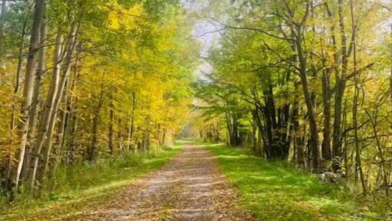 Photo of Others in South Kortright