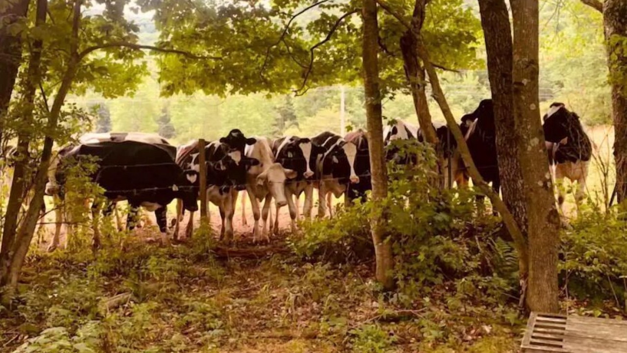 Photo of Others in South Kortright