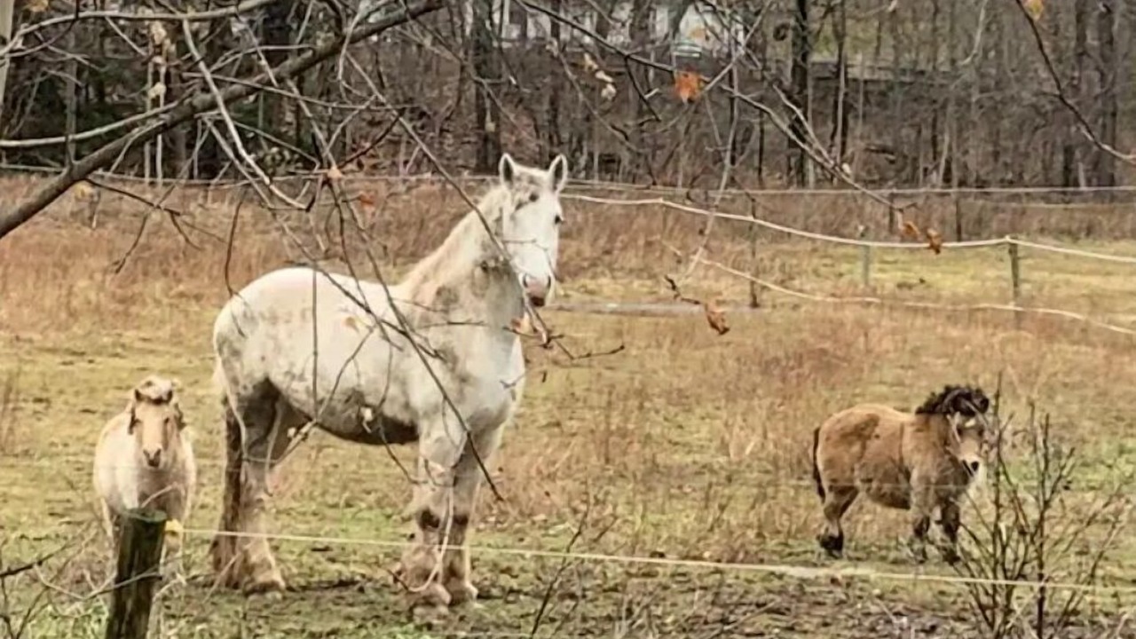 Photo of Others in South Kortright