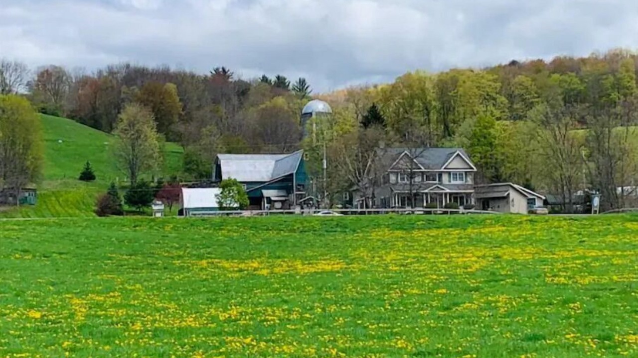 Photo of Others in South Kortright
