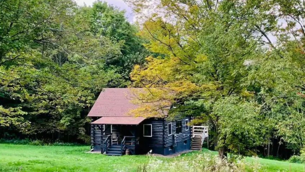 Photo of Outdoor in South Kortright