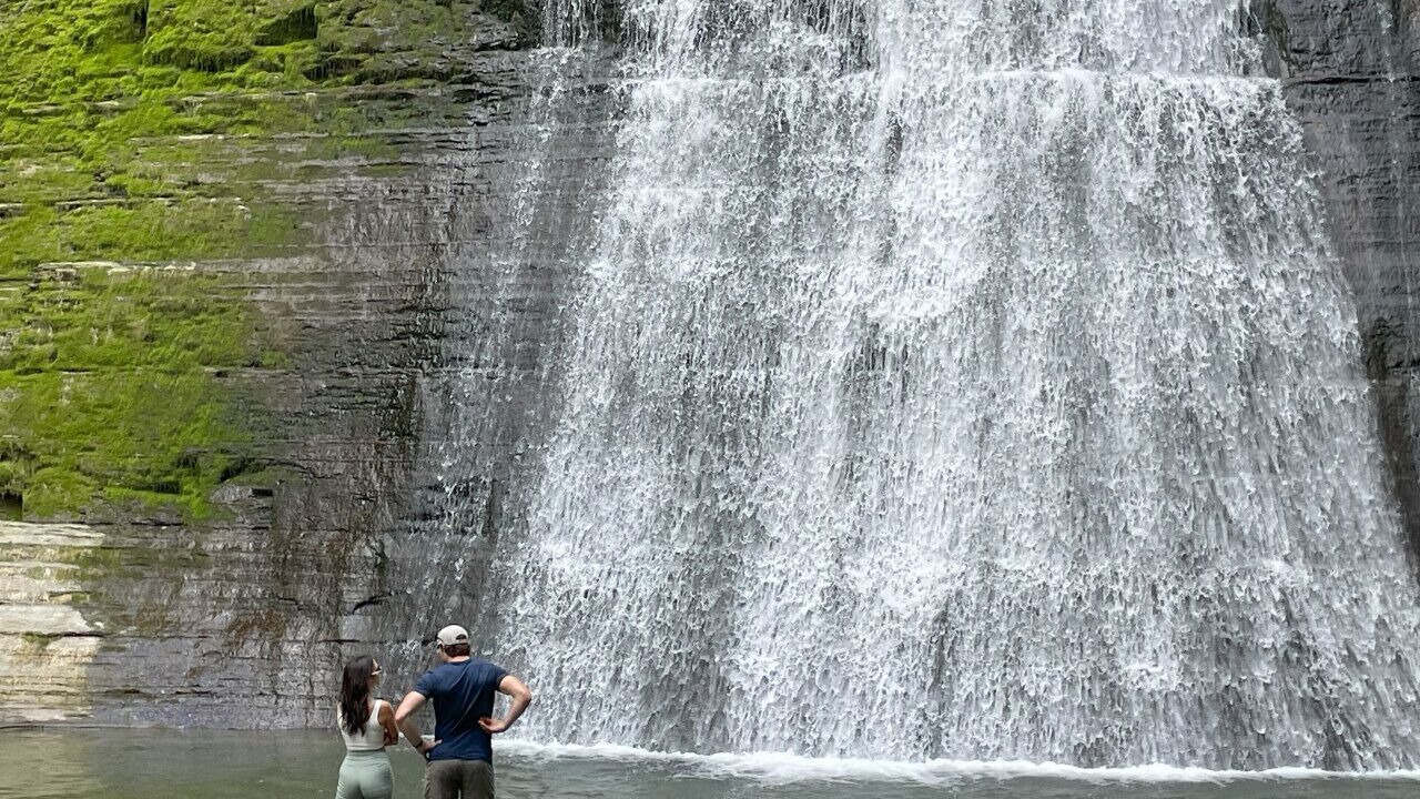 Photo of Others in Dansville