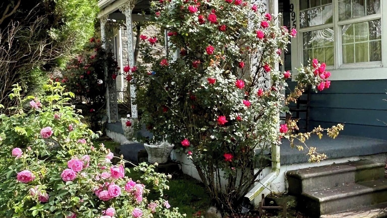 Photo of Outdoor in Chapmanville