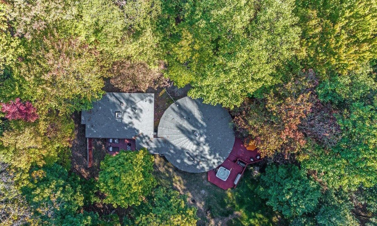 Photo of Outdoor in The Woods